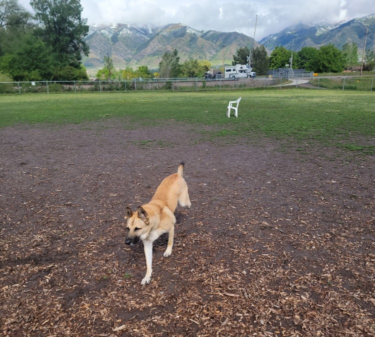 Dog Park (Logan,&nbspUT)